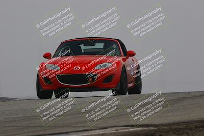 media/Nov-28-2025-Speed SF (Fri) [[b9fcb3577c]]/Blue/Session 2 (Grapevine)/